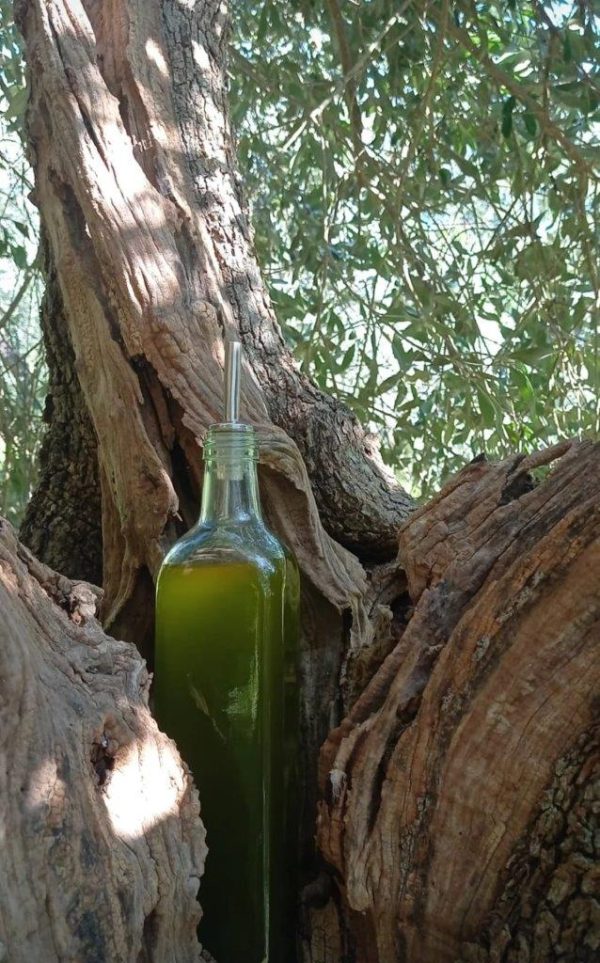Bottiglia olio Bottiglia olio