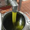 Olio Nuovo Olio Nuovo
